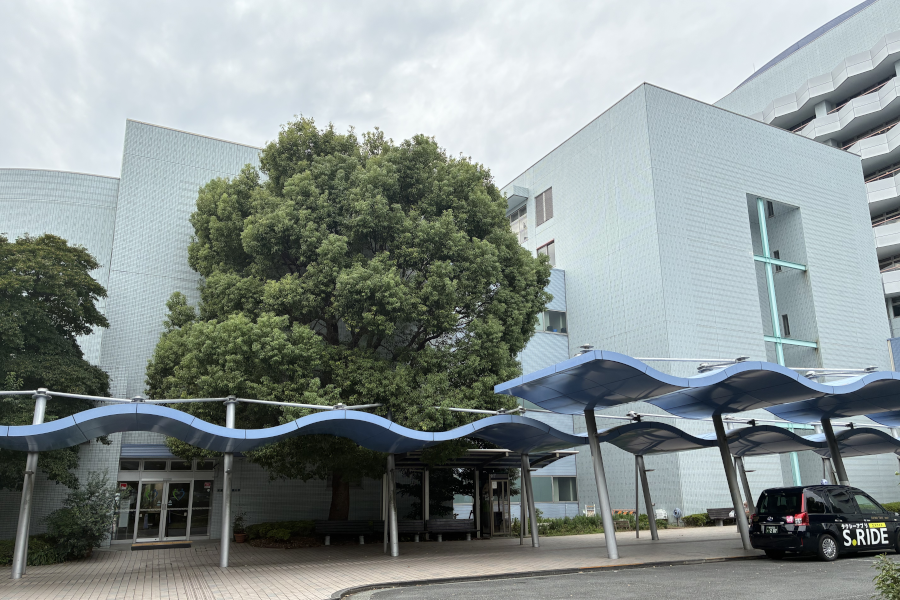 東京医療保健大学立川看護学部