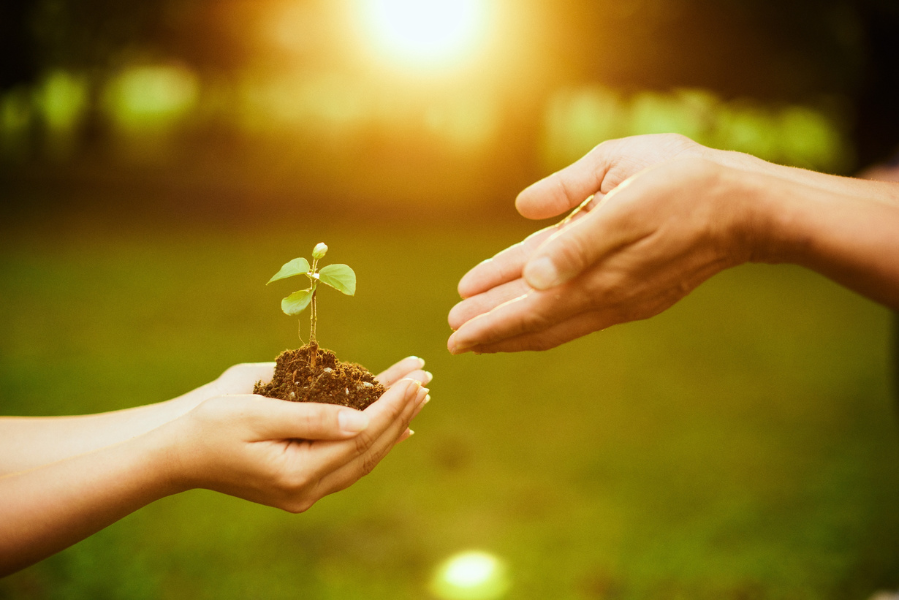 「人生100年時代」を越えて ― 超高齢期（100歳以上）を見据えた食支援の必要性