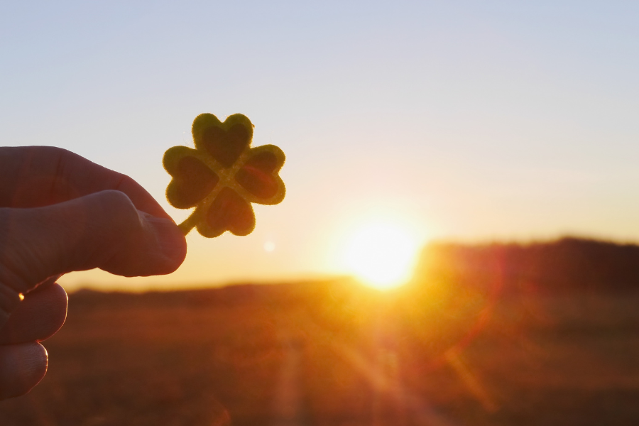 【最新版】総集編 ～相続と介護をめぐる「家族のこれから」を整えるために～