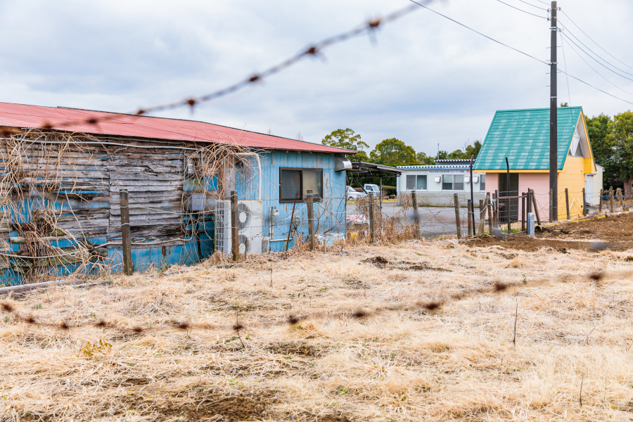 長生郡長生村の風景