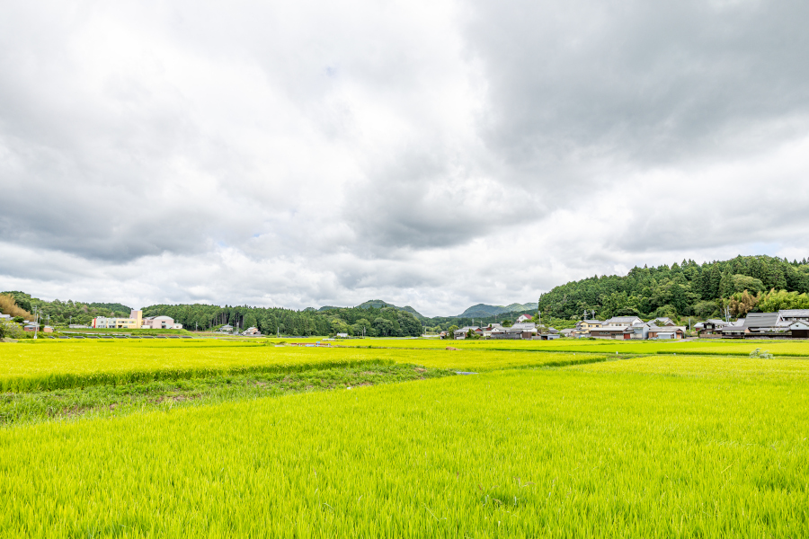 奈良市都祁地区